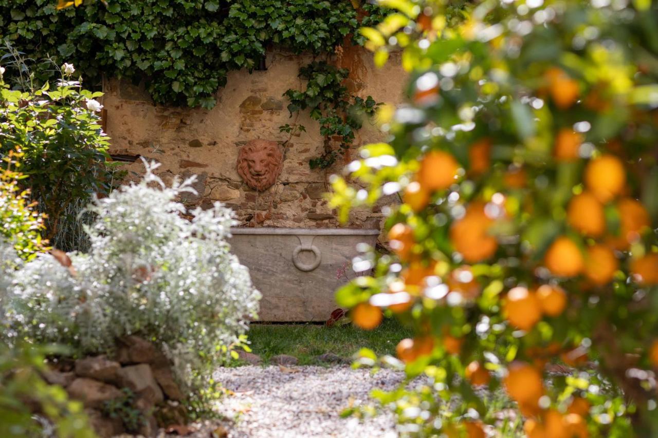 Secret Garden Firenze B&B ภายนอก รูปภาพ