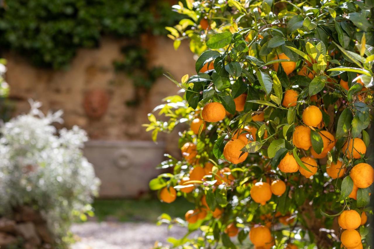 Secret Garden Firenze B&B ภายนอก รูปภาพ