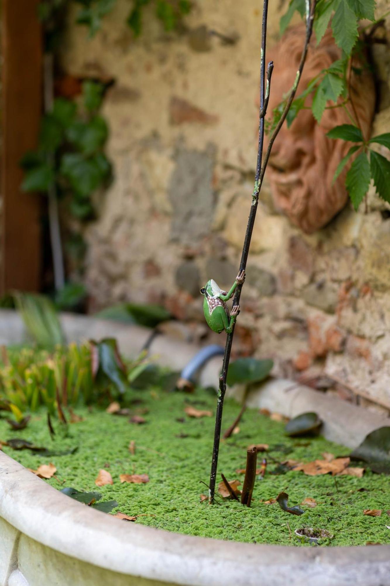 Secret Garden Firenze B&B ภายนอก รูปภาพ