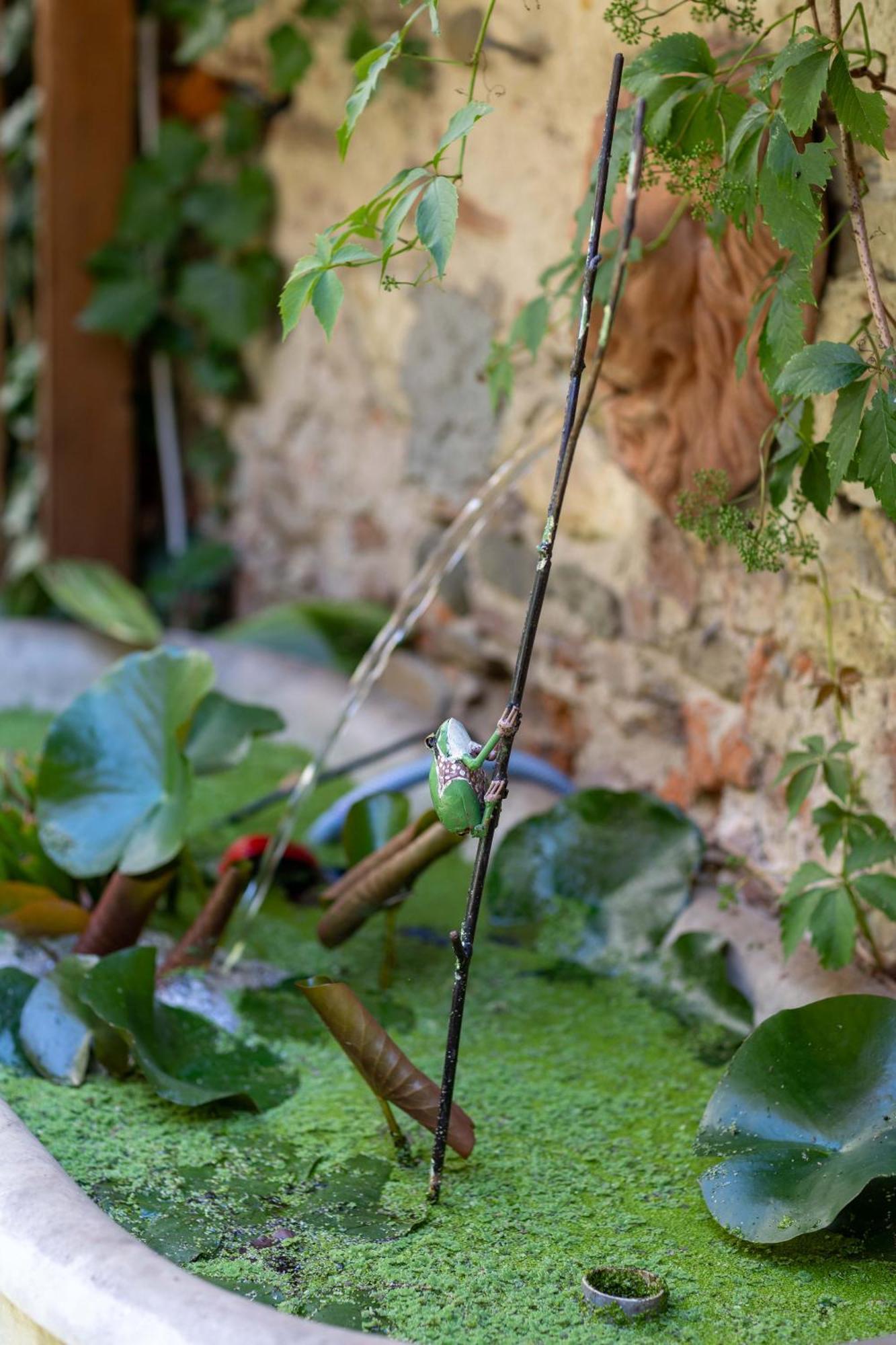 Secret Garden Firenze B&B ภายนอก รูปภาพ